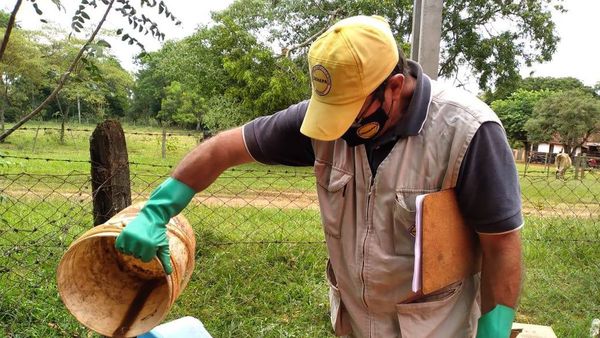 Dengue: Se registran más notificaciones