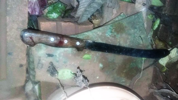 Drogadicto MATA a una ANCIANA y hiere a otro