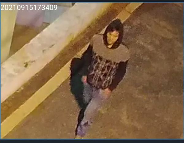 Detienen a dos “robafocos” en Villa Elisa - Nacionales - ABC Color