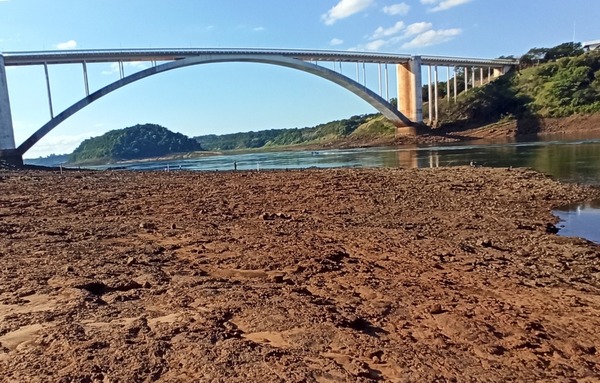 El río Paraná se encuentra unos 10 metros de su caudal normal - La Clave