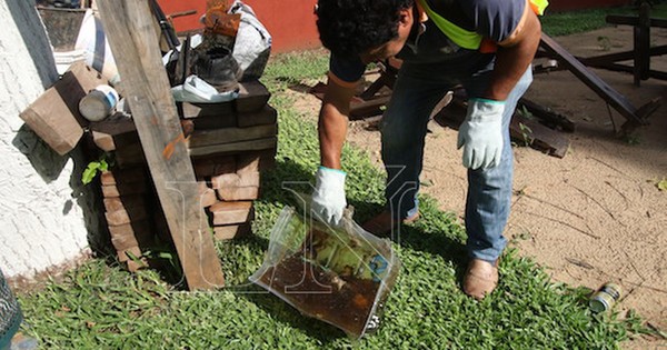 La Nación / Preocupan algunas zonas del país por el alto índice de infestación larvaria