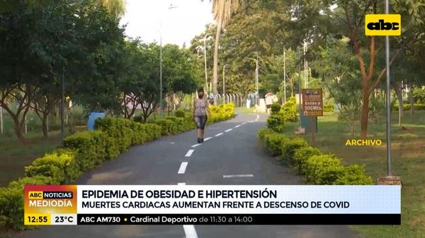 Epidemia de obesidad e hipertensión en Paraguay - ABC Noticias - ABC Color