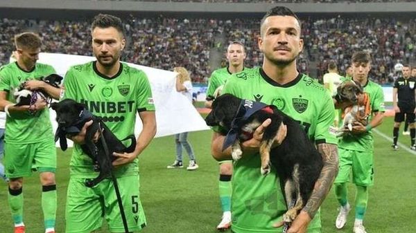 La federación rumana de fútbol presentará en cada partido perros para promover la adopción