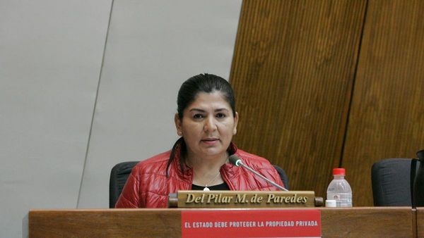 Diputada plantea "seguimiento" a investigación de abuso en caso que involucra a legislador