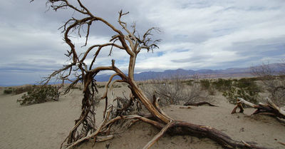 Más de 200 millones de personas se verían obligadas a abandonar sus hogares producto de la crisis climática - SNT