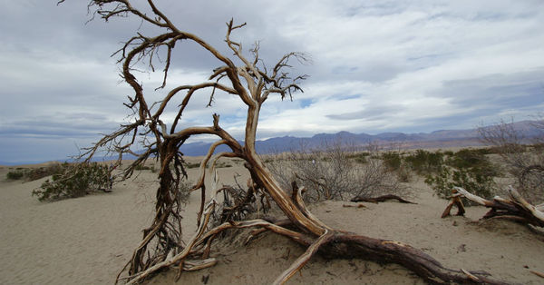 Más de 200 millones de personas se verían obligadas a abandonar sus hogares producto de la crisis climática - SNT
