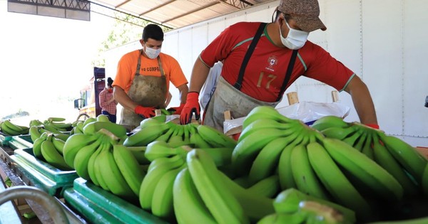 La Nación / Alimentación escolar: Senado aprueba incluir otros productos, no solo la banana