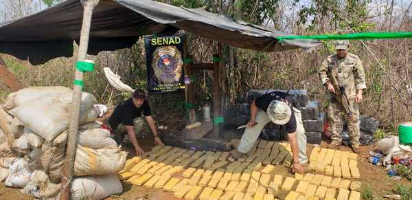 Desmantelan narcocampamentos en Canindeyú