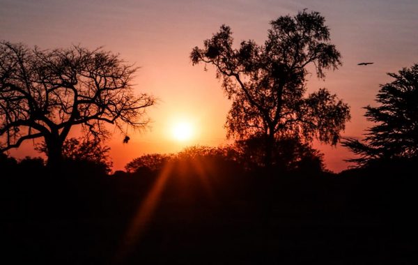 Último día de enero con temperaturas cálidas y vientos del sureste