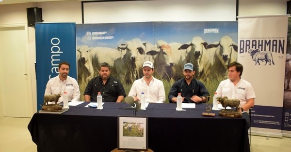 La Nación / Raza brahman proyecta cerca de G. 1.500 millones en negocios