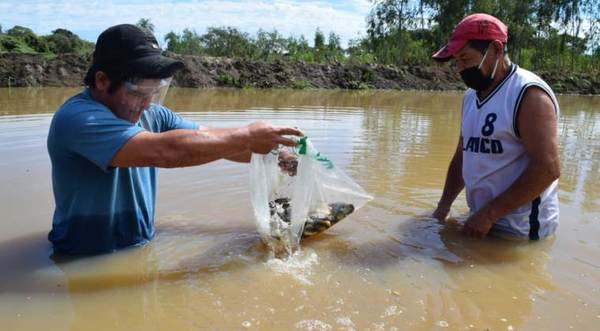 Piscicultores de Ayolas se capacitan para mejorar producción