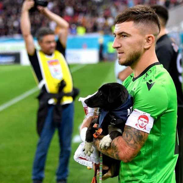 Fútbol rumano promueve adopción de perros en cada partido
