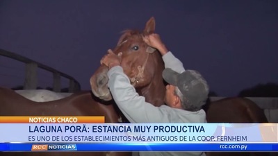 Laguna Porã Una estancia muy productiva