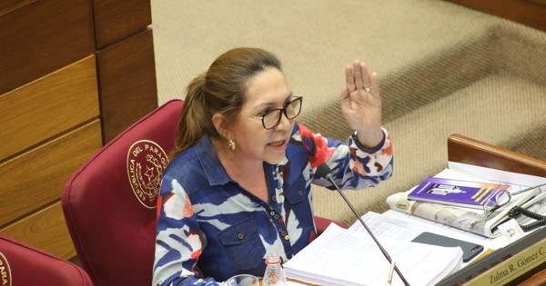 La Nación / PLRA sin salida para la crisis y sin pagar deudas, reclama senadora liberal