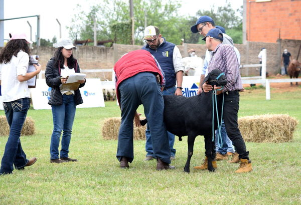 Con inscripción récord, esperan que siga la tendencia alcista de precios en ovinos