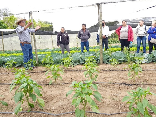 Horticultores de Ayolas reciben capacitación en manejo de cultivos en invernadero