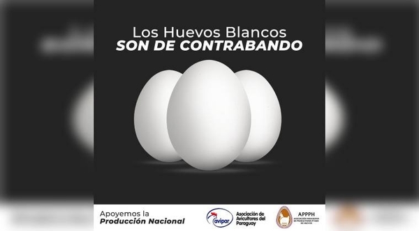 Diario HOY | Impulsan campaña para combatir contrabando de huevos blancos