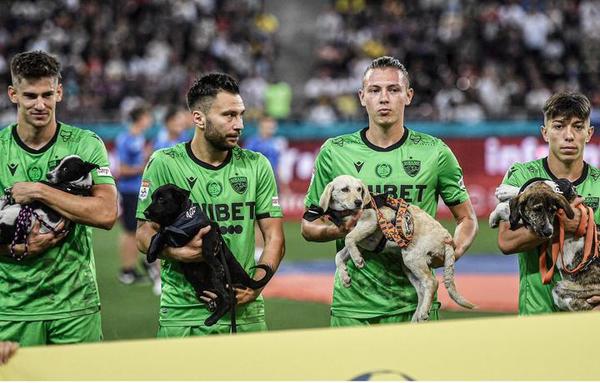 Futbolistas salen al campo de juego con perros en brazos