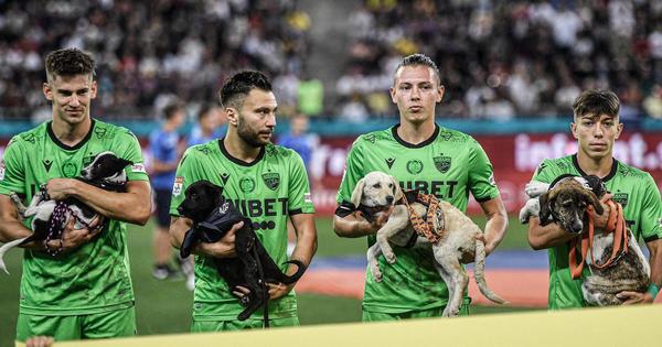 Futbolistas de Rumania fomentan adopción de perros