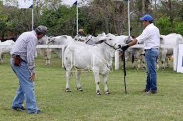 Diario HOY | Segundo día de la 75° Expo Ganadera, organizada por la Asociación Rural del Paraguay