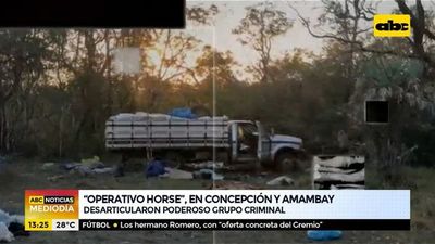 “Operativo Horse”, en Concepción y Amambay - ABC Noticias - ABC Color