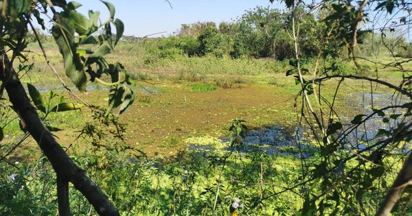 La Nación / Invitan a minga ambiental en Ñu Guasu y Metropolitano por Día Mundial de la Limpieza