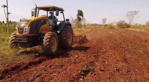 Agricultores de Concepción sufren por los efectos de la sequía