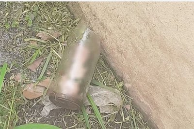 Crónica / Jardinero encontró un pilín al cortar el pasto