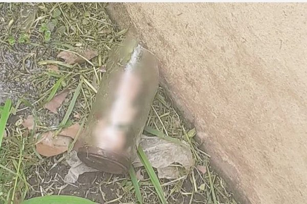Crónica / Jardinero encontró un pilín al cortar el pasto