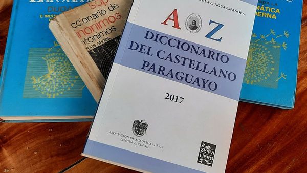 Los diccionarios del castellano paraguayo