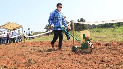 Campaña de sésamo se lanza con el desafío de duplicar la producción