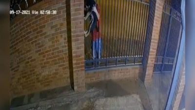 Ladrones roban el perrito de una familia en San Lorenzo