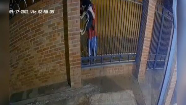 Ladrones roban el perrito de una familia en San Lorenzo
