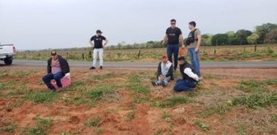 Megacarga de marihuana: piden prisión preventiva para detenidos