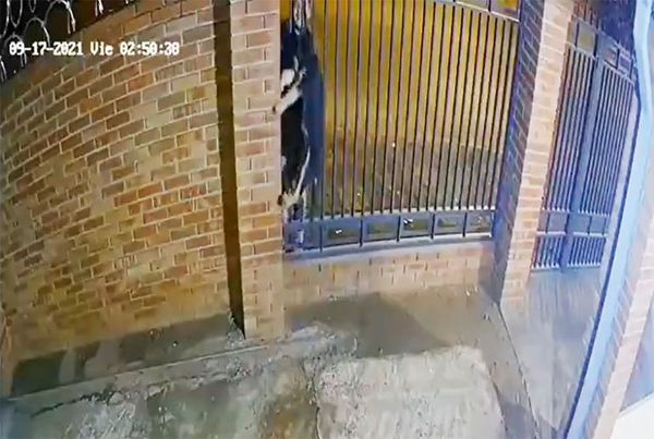 Video de cómo los ladrones roban un cachorro en San Lorenzo - Nacionales - ABC Color