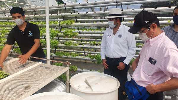 LA JICa resalta resultados de cooperación y remarca apoyo a productores mediante el CAH - .::Agencia IP::.