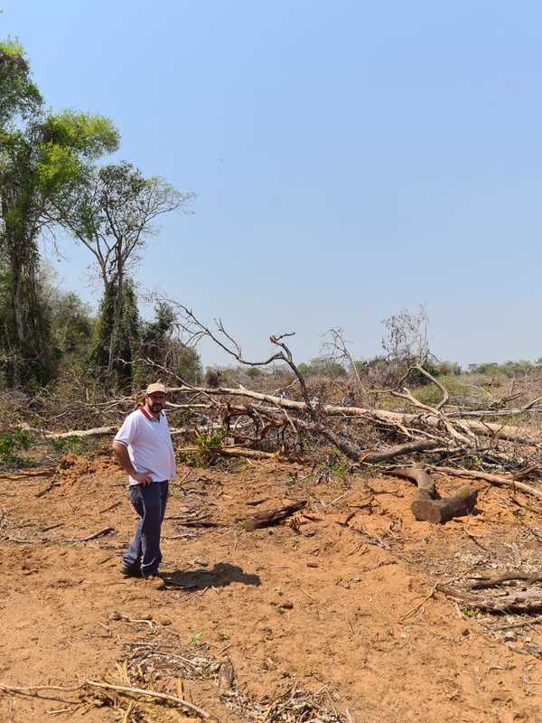 Concepción: Fiscalía de Medio Ambiente intervino en supuesta tala indiscriminada | Ñanduti