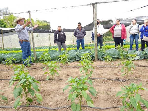 Horticultores de Ayolas reciben capacitación en manejo de cultivos en invernadero - .::Agencia IP::.