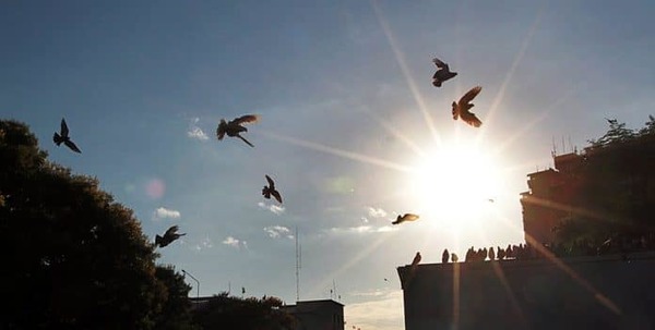 Domingo muy caluroso y parcialmente nublado, según Meteorología | Ñanduti