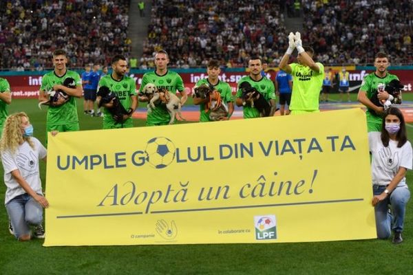 Equipos rumanos promueven adopción de perros en partidos de fútbol