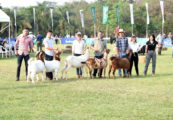 Cabras exhibirán su mejora genética y criadores esperan buenos negocios