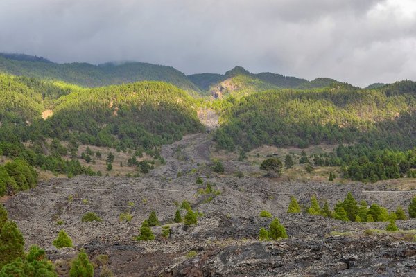 Alerta en España: entró en erupción el volcán Cumbre Vieja de la isla de La Palma | Ñanduti