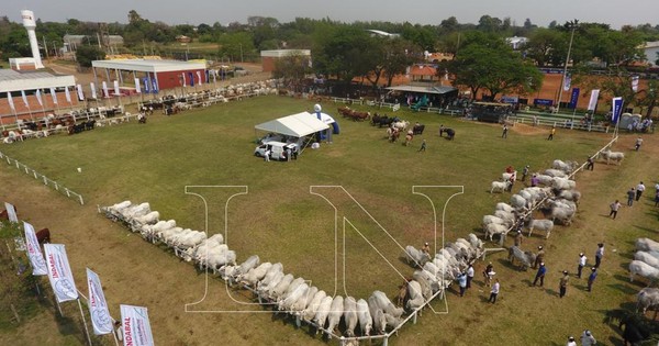 La Nación / Paraguay puede llegar a ser una de las naciones más prósperas gracias a la ganadería, afirman