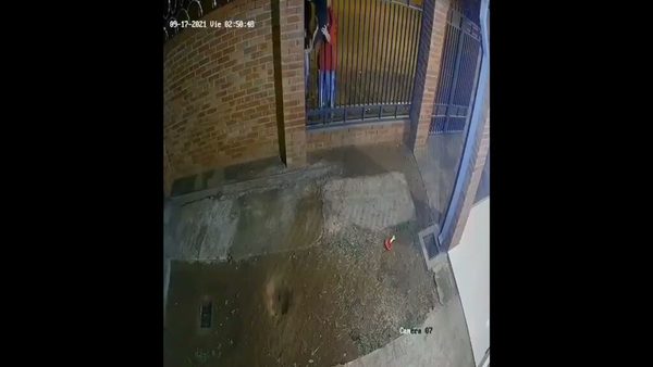 Se reencontró con su familia,»Coco» el perro que fue robado | OnLivePy