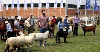 La Nación / Producción ovina genera gran interés