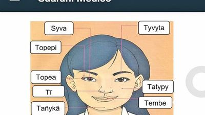 La app  Guarani Ayvu, traductor trilingüe, tiene éxito de descargas