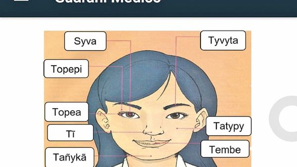 La app Guarani Ayvu, traductor trilingüe, tiene éxito de descargas