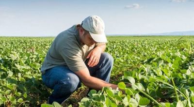 Se recuerda hoy 20 de septiembre, el Día del Ingeniero Agrónomo.