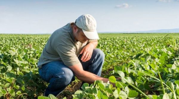 Se recuerda hoy 20 de septiembre, el Día del Ingeniero Agrónomo.