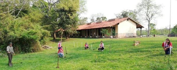 Universitarios plantan árboles en homenaje a la juventud - Nacionales - ABC Color